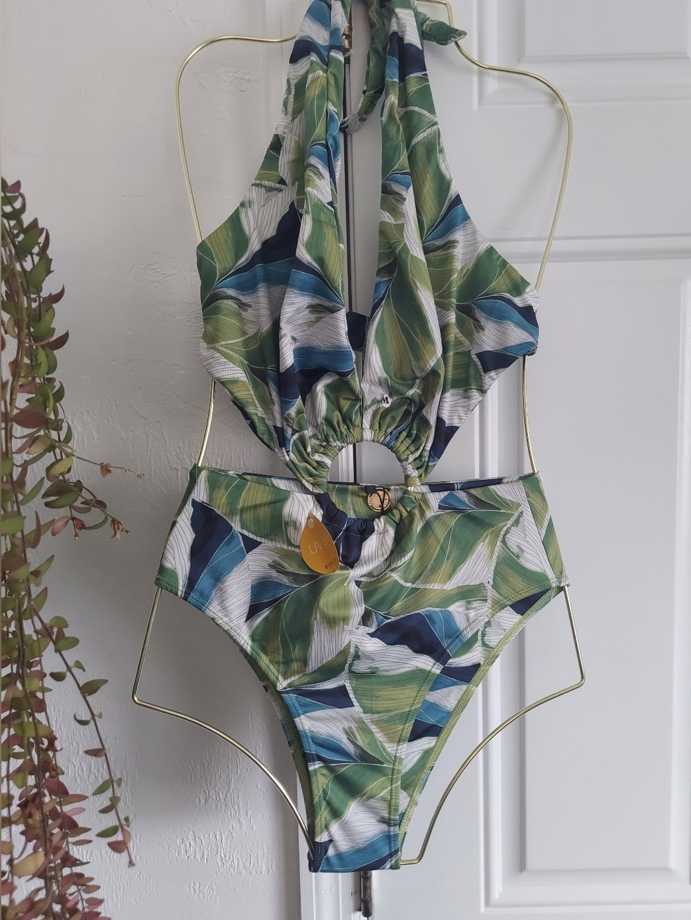 Agua Brazilian Swimwear